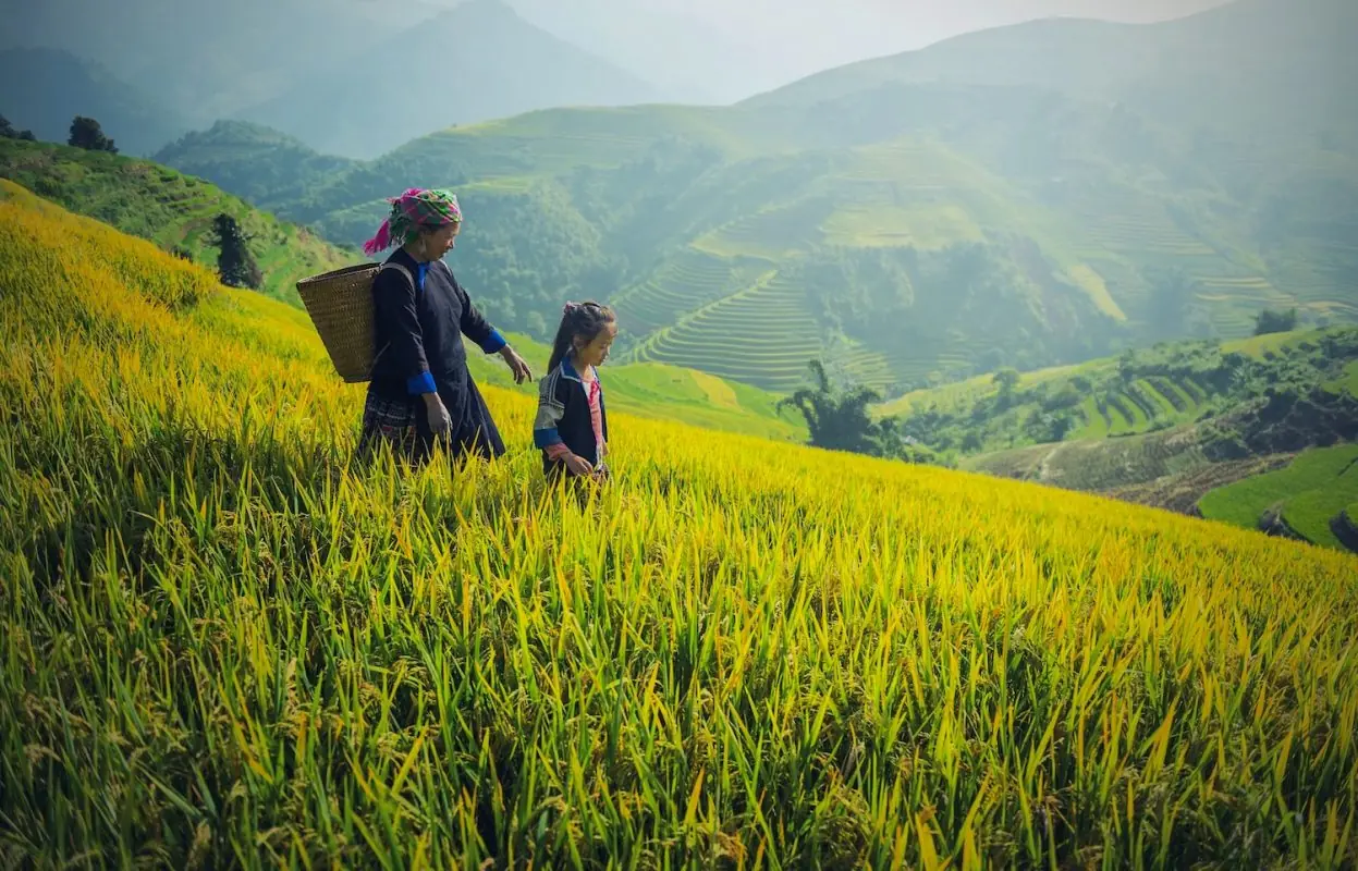 Mountain scenery in the hills around Chiang Mai